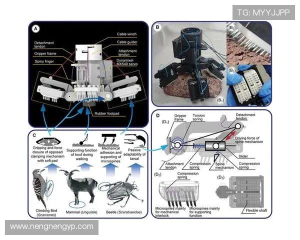 南京攀岩队的控制之道：深度解析攀岩技术与团队协作的完美结合